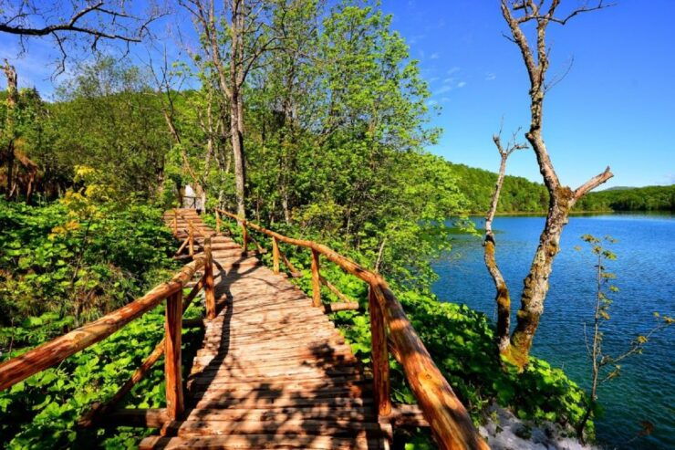 From Split or Trogir: Plitvice Lakes Trip With Entry Ticket - Activity Highlights at Plitvice Lakes