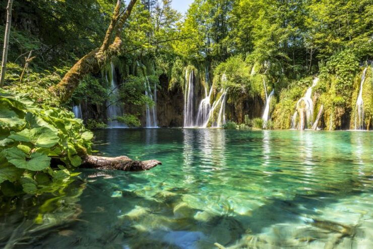 From Split: Plitvice Lakes Fully-Guided Day Tour - Booking Information