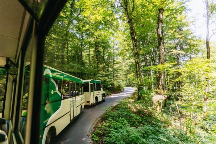 From Split: Plitvice Lakes Guided Tour with Entry Tickets - Final Thoughts