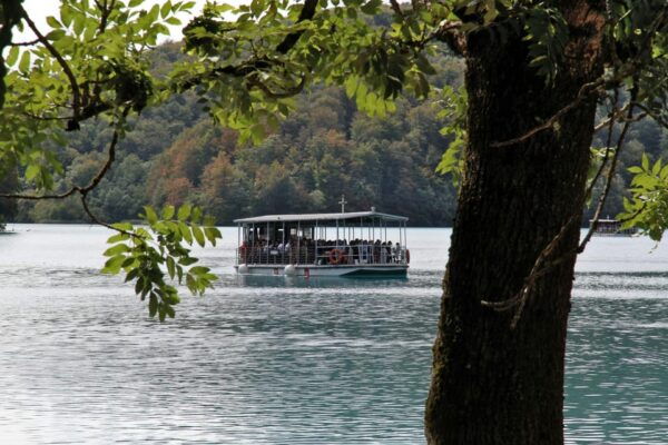 From Split: Private Guided Tour to Plitvice - Guided Expertise