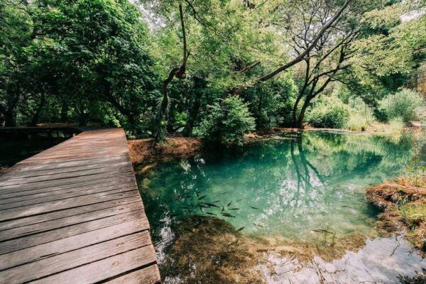 From Split: Private Tour to Krka, PrimošTen With Winetasting - Discovering Primosten