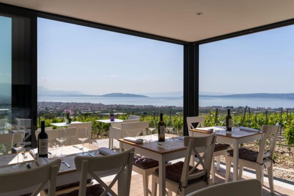 From Split: Private Tour to Krka, PrimošTen With Winetasting - Wine Tasting at Sikuli Winery