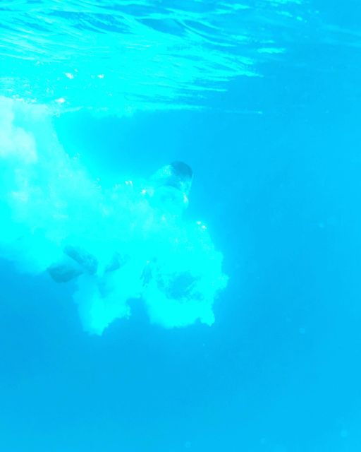 From Split/Trogir: Blue Lagoon & 2 Islands half-day Private - Frequently Asked Questions