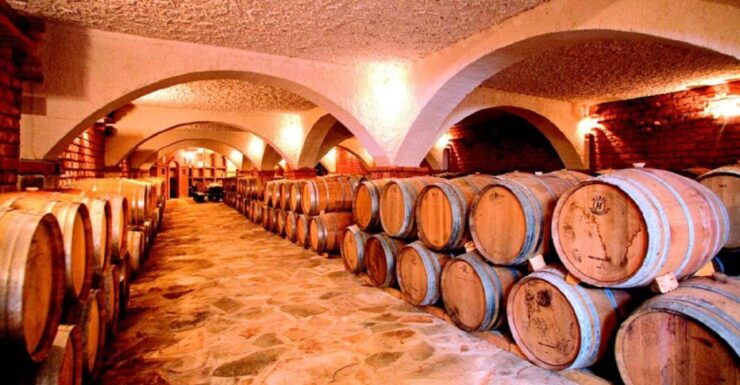 From Split & Trogir: Pelješac Peninsula Food & Wine Tour - Booking and Logistics Details