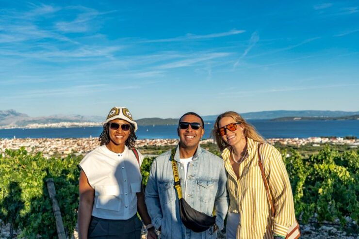From Split: Vineyard Wine Tasting Experience With a Sea View - Experience Overview