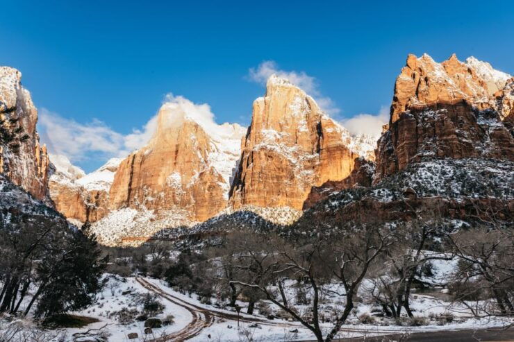 From Springdale: 4-hour Zion Canyon Scenic Hiking Tour - Highlights and Experience