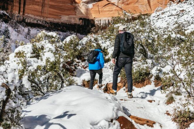 From Springdale: 4-hour Zion Canyon Scenic Hiking Tour - What to Bring and Additional Details