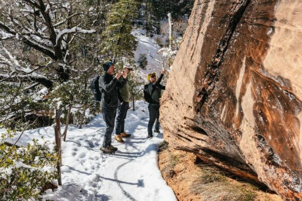 From Springdale: 4-hour Zion Canyon Scenic Hiking Tour - Common Questions