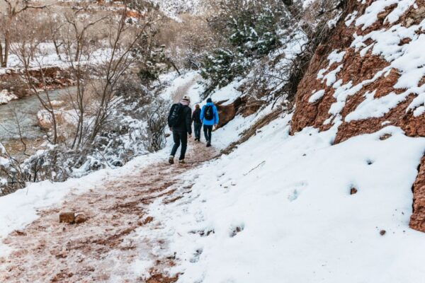 From Springdale: 4-hour Zion Canyon Scenic Hiking Tour - The Sum Up