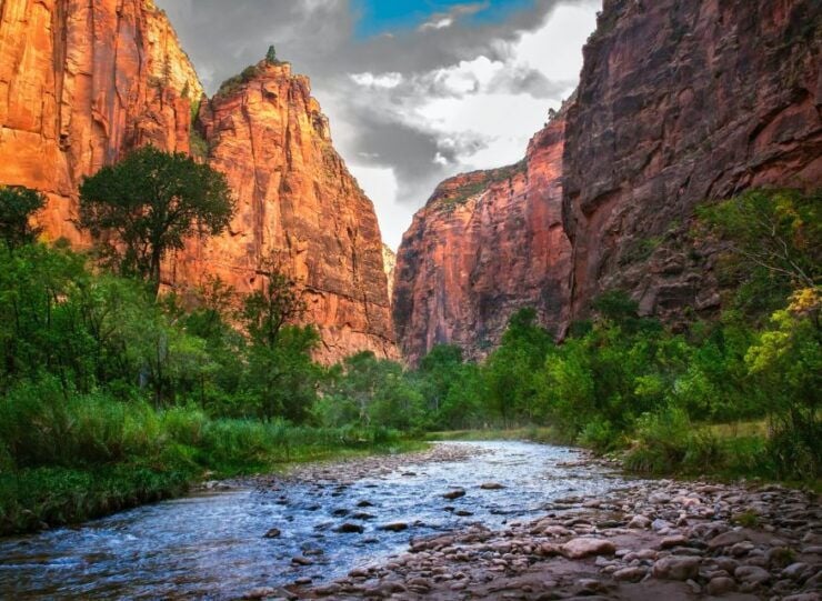 From Springdale: the Zion Narrows Hike With Lunch - Experience