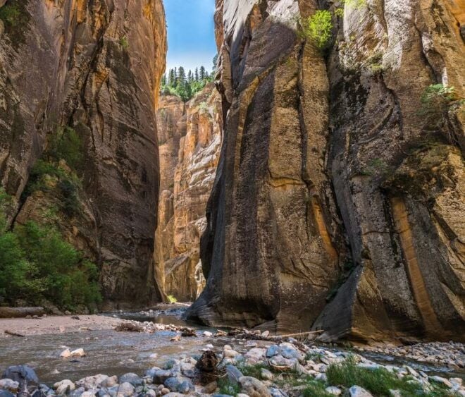 From Springdale: the Zion Narrows Hike With Lunch - Full Description