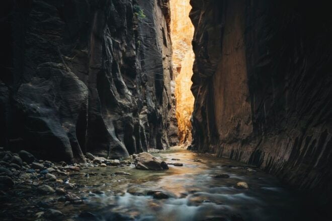 From Springdale: the Zion Narrows Hike With Lunch - Participants and Date