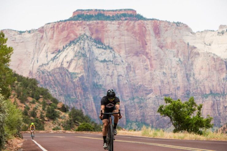 From Springdale: Zion National Park Bike Tour - Experience