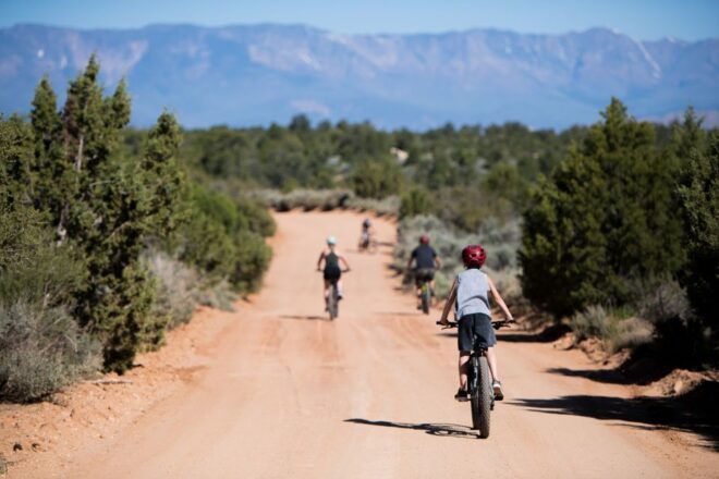 From Springdale: Zion National Park Bike Tour - Highlights