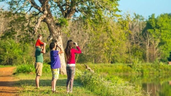 From Sri Lanka Two Day Wildlife & Culture Tour - What to Bring
