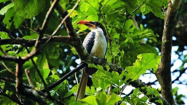 From Sri Lanka Two Day Wildlife & Culture Tour - Frequently Asked Questions