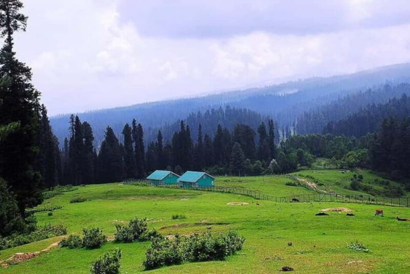 From Srinagar Full Day Trip of Yousmarg - A Closer Look at the Yusmarg Full-Day Tour  