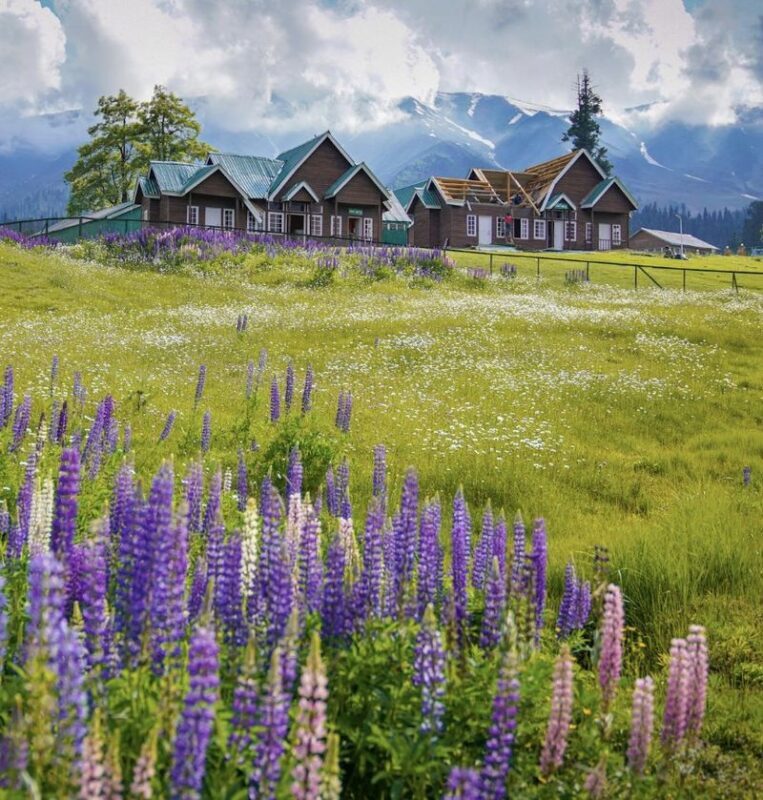 From Srinagar: Gulmarg Full-Day Private Tour with Guide & AC Car - Leaving Srinagar for the mountain road