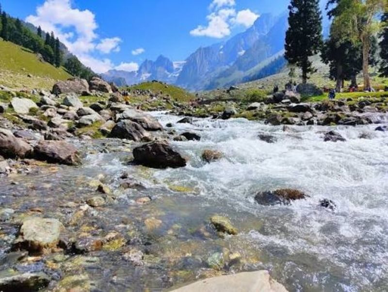 From Srinagar: Private Sonamarg Day Trip with Chauffeur & AC Car - Sonamarg’s meadows reward unhurried time