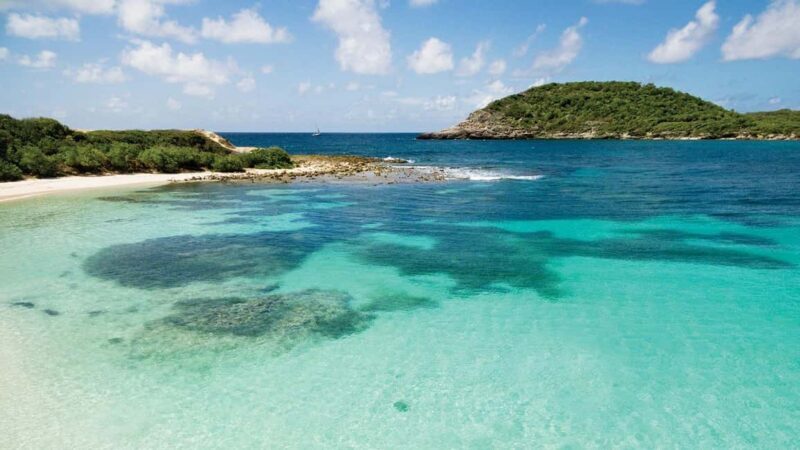 From St John's: Half Moon Bay Beach Half-Day Trip by Van - A Detailed Look at the Half Moon Bay Beach Half-Day Trip