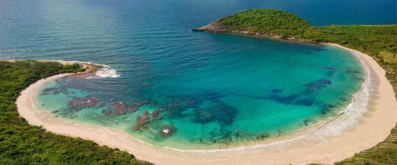 From St John's: Half Moon Bay Beach Half-Day Trip by Van - Who Will Love This Tour?