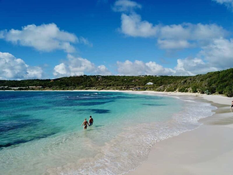 From St John's: Half Moon Bay Beach Half-Day Trip by Van - Authentic Reviews Offer Insight