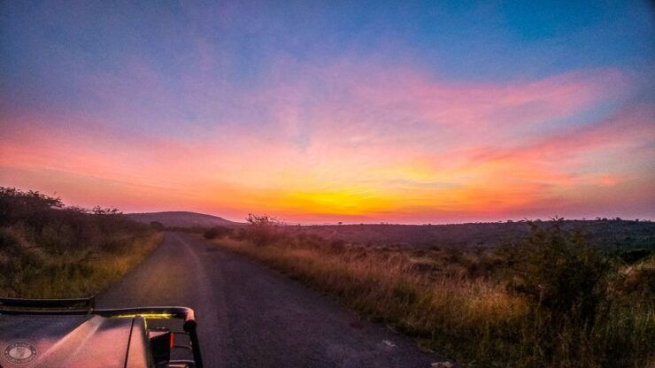 From St Lucia: Isimangaliso Sunset Safari - Sunset Jeep Tour Highlights