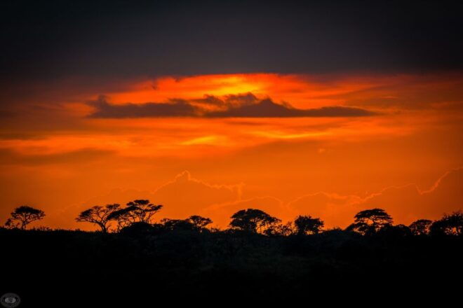 From St Lucia: Isimangaliso Wetland Park Night Drive Safari - Inclusions Provided