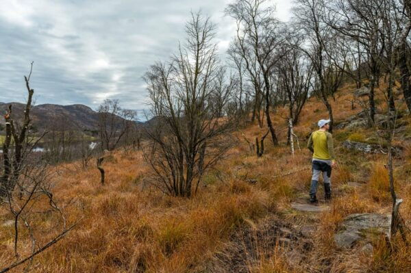 From Stavanger: Guided Tour to Månafossen and Dalsnuten - Frequently Asked Questions