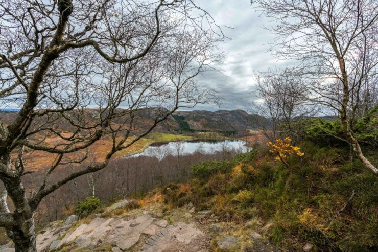 From Stavanger: Guided Tour to Månafossen and Dalsnuten - Good To Know