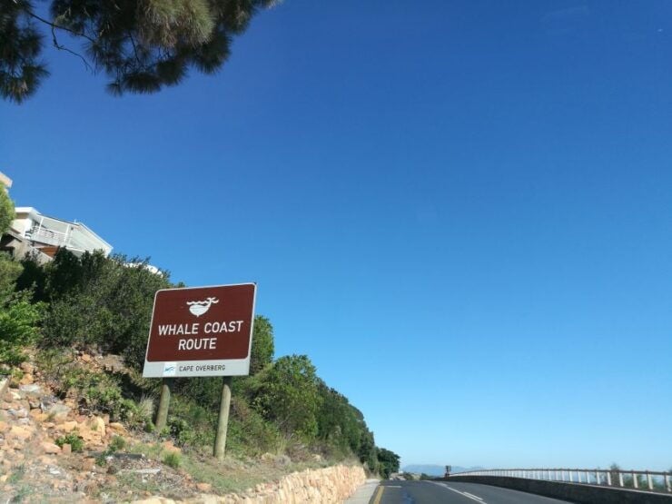From Stellenbosch: Hermanus Whale Route Tour - Highlights