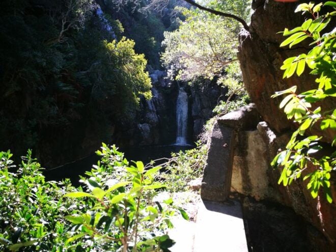 From Stellenbosch: Hermanus Whale Route Tour - Important Information