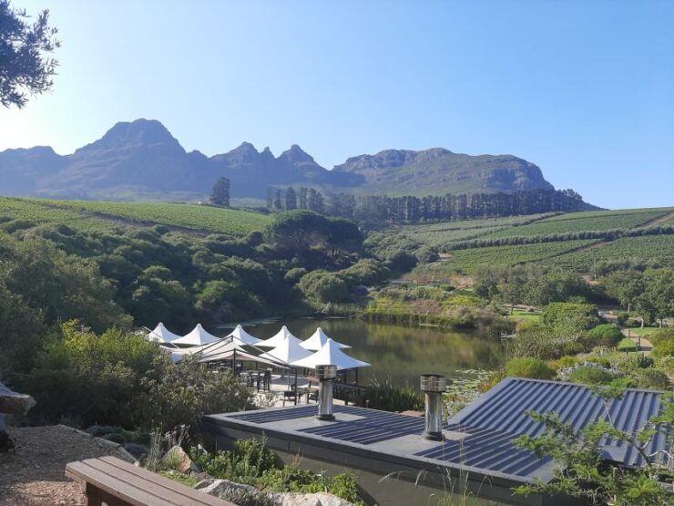 From Stellenbosch: Stellenbosch Guided Vineyard Walk - Includes