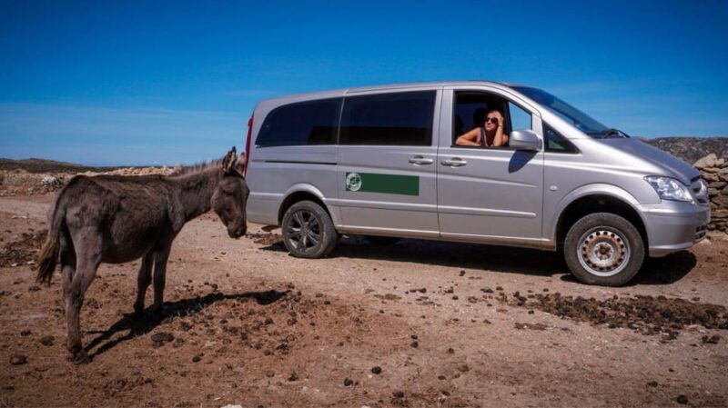 From Stintino: Asinara Minivan Tour - Itinerary Highlights