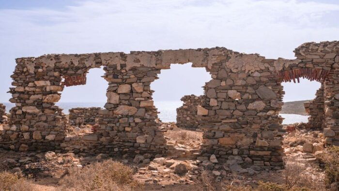 From Stintino: Asinara Minivan Tour - Wildlife Encounter