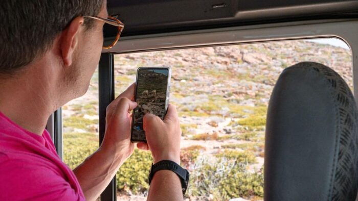 From Stintino: Asinara Minivan Tour - Frequently Asked Questions