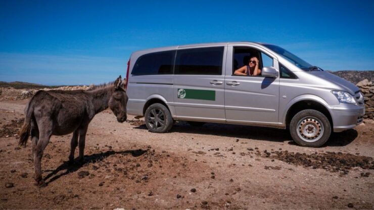 From Stintino: Asinara National Park Guided Tour by Minivan - Tour Highlights