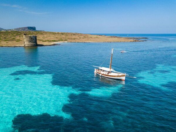 From Stintino: Asinara Vintage Sailing Boat Tour With Lunch - The Sum Up