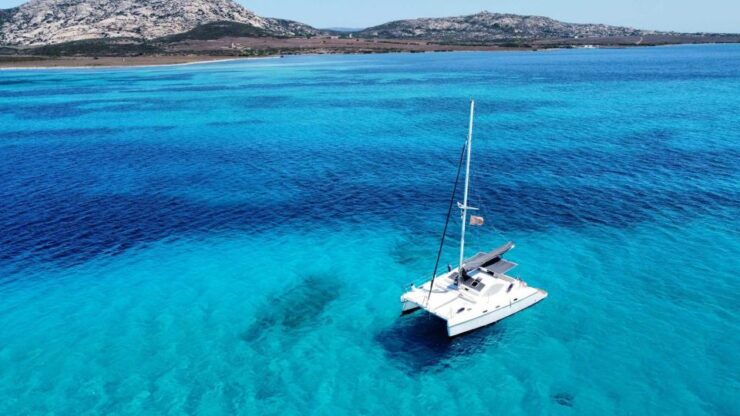 From Stintino: Catamaran Tour to Asinara Island - Good To Know