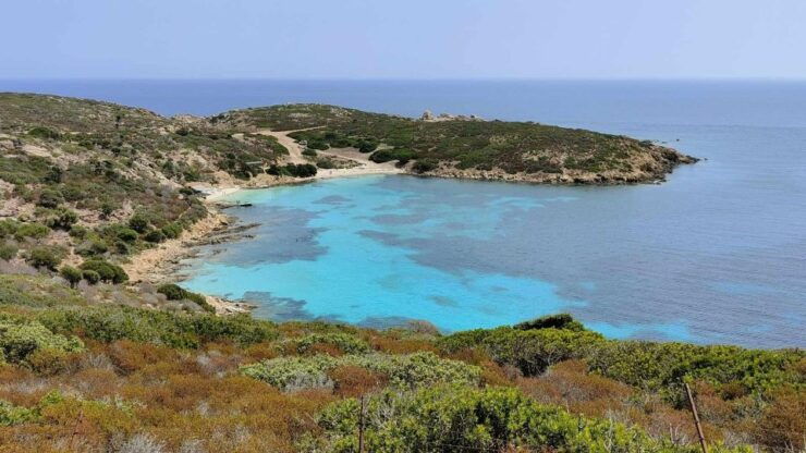 From Stintino: Day Trip by Minibus in Asinara National Park - Trip Details