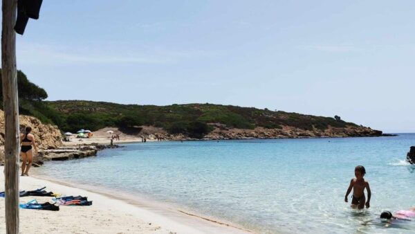 From Stintino: Day Trip by Minibus in Asinara National Park - Directions