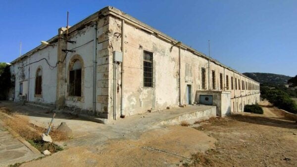 From Stintino: Day Trip by Minibus in Asinara National Park - Frequently Asked Questions