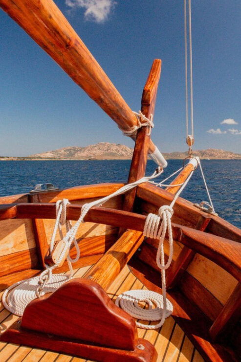 From Stintino: Half-Day Boat Tour to Asinara - Good To Know