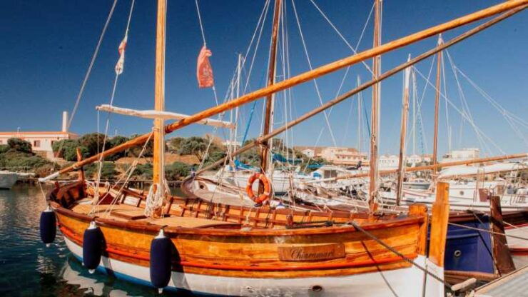 From Stintino: Half-Day Boat Tour to Asinara - Sailing Experience