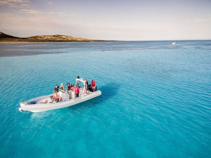 From Stintino: Half-Day RIB Tour in Asinara Gulf - Tour Overview