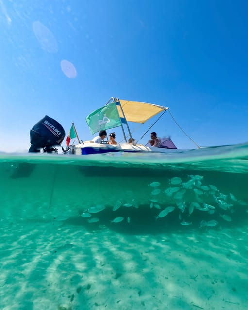 From Stintino: Half-Day Speedboat Tour to Asinara - Good To Know