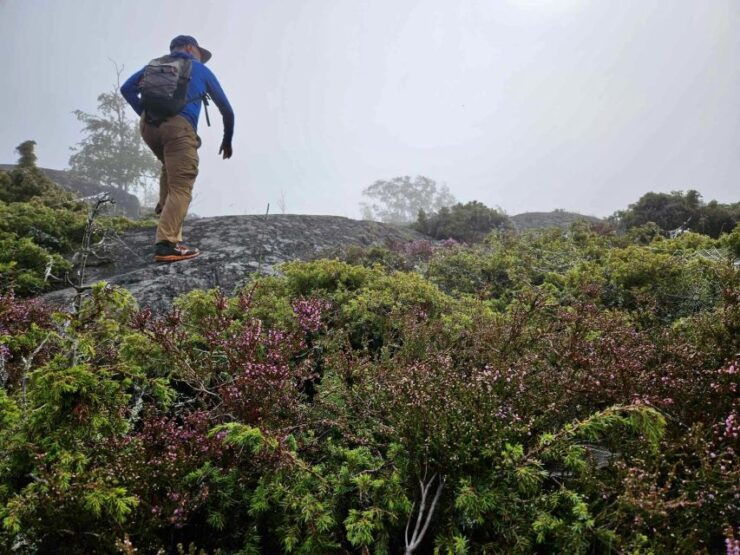 From Stockholm: Landsort Lighthouse and Remote Island Hike - Booking Information