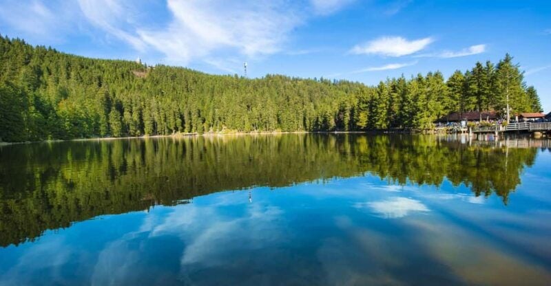 From Strasbourg: Black Forest and Baden Baden Day Trip - Good To Know