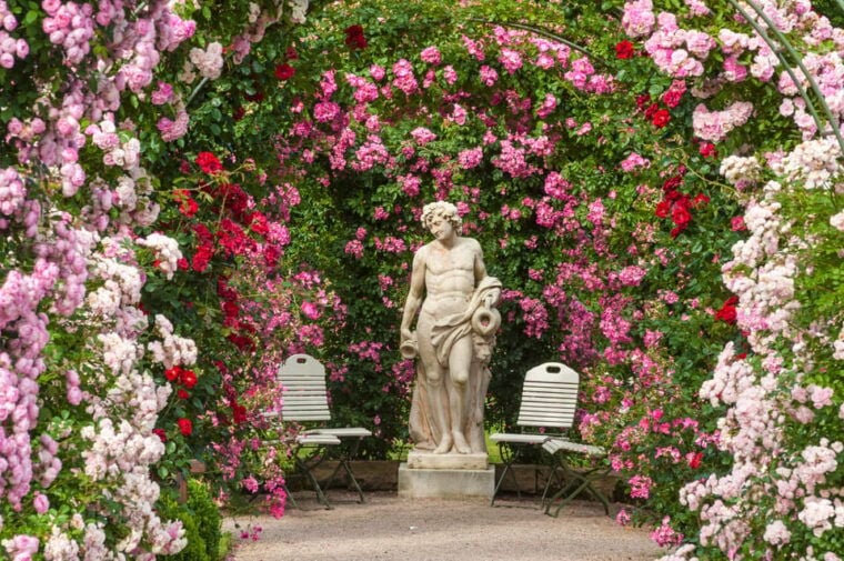 From Strasbourg: Black Forest and Baden Baden Day Trip - Scenic Views Along Schwarzwaldhochstrasse