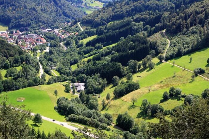 From Strasbourg: Black Forest and Baden Baden Day Trip - Customer Reviews and Experiences